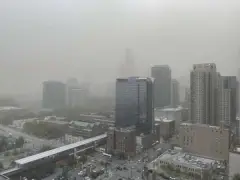 Rare dust storm that raced through Chicago area caused by strong winds from cluster of thunderstorms